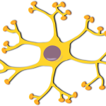 Biology GK MCQs